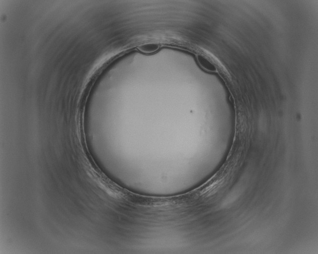 X0000072941035200608181336