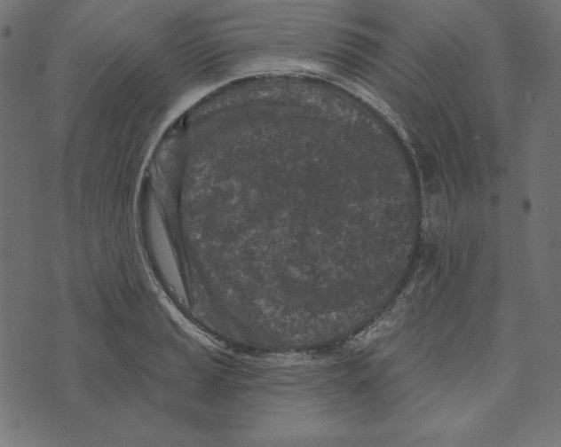 X0000072941037200608181336