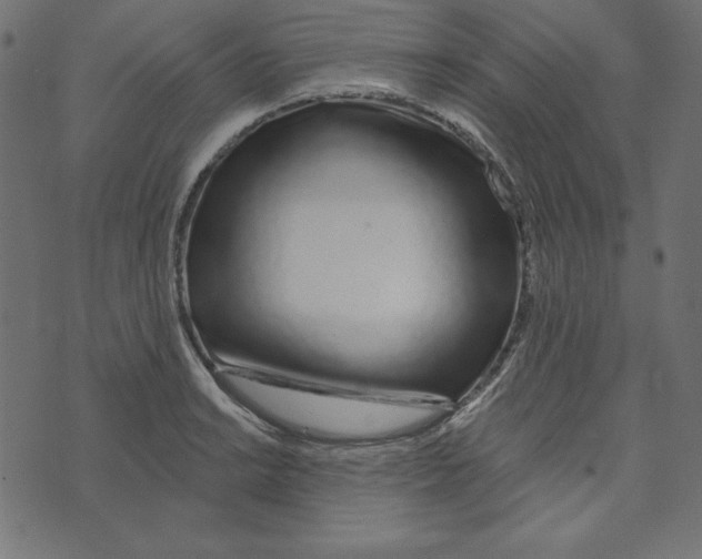 X0000072941038200608181336