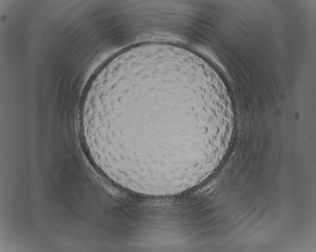 X0000072941040200608181336