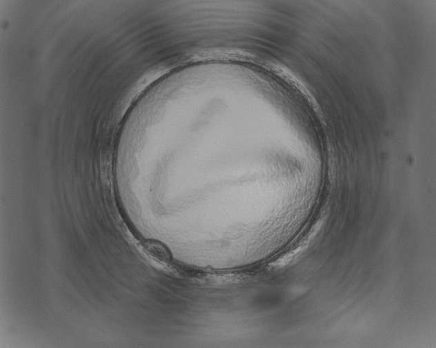 X0000072941041200608181336