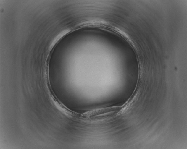 X0000072941042200608181336