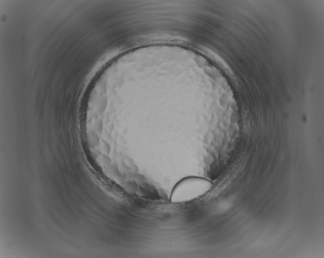 X0000072941043200608181336