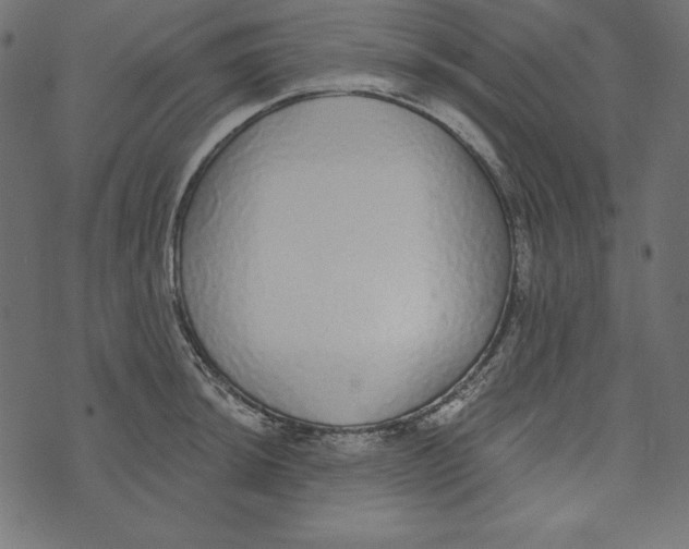 X0000072941044200608181336