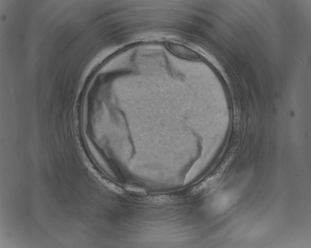 X0000072941045200608181336