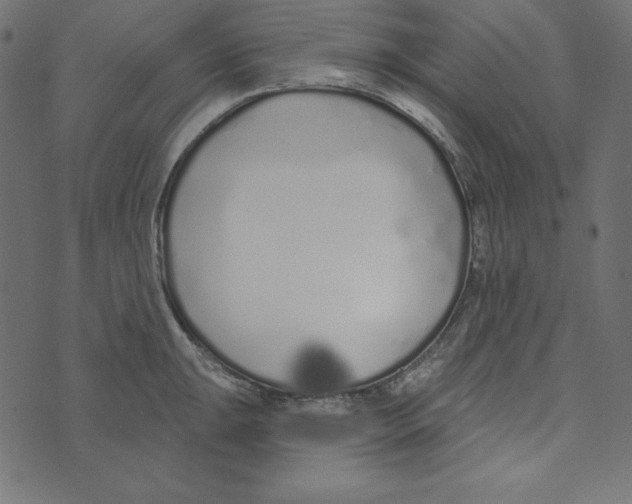 X0000072941047200608181336