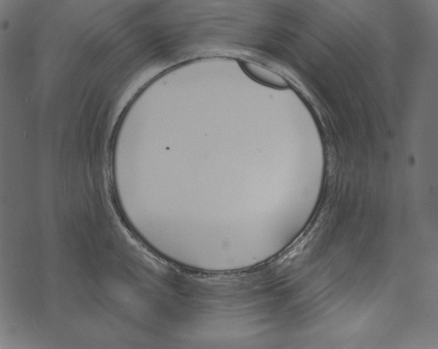 X0000072941048200608181336