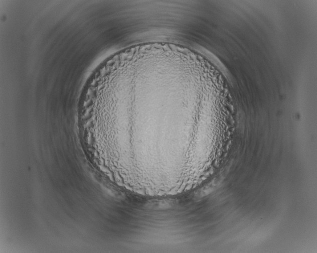 X0000072941051200608181336