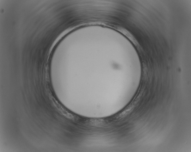 X0000072941052200608181336