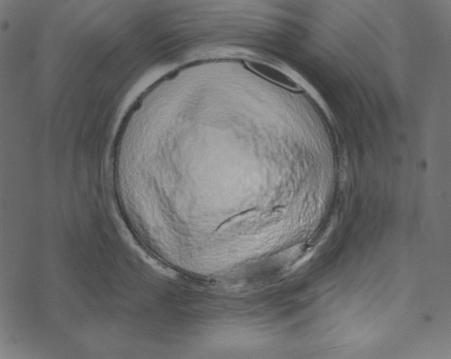 X0000072941053200608181336