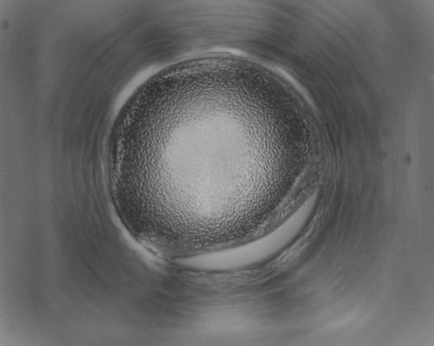 X0000072941054200608181336