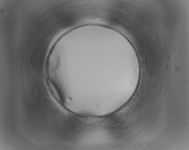 X0000072941056200608181336