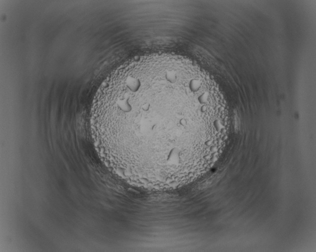 X0000072941059200608181335