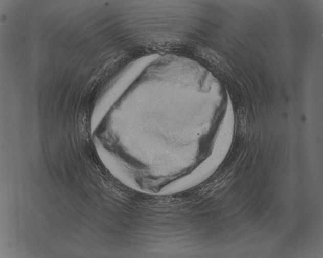 X0000072941060200608181335