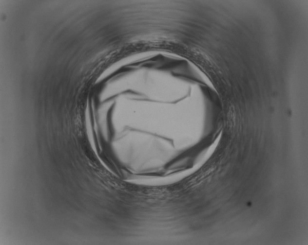 X0000072941062200608181335