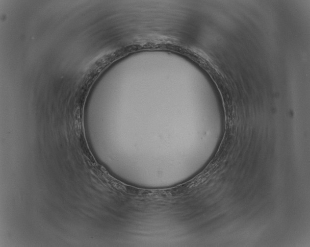 X0000072941063200608181335