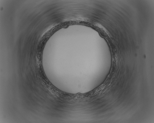 X0000072941064200608181335