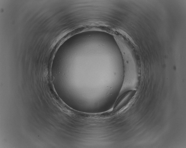 X0000072941065200608181335