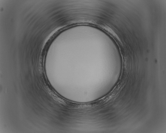 X0000072941068200608181335