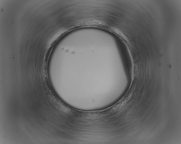 X0000072941071200608181335