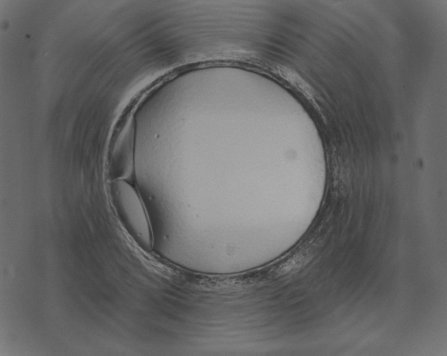 X0000072941072200608181335