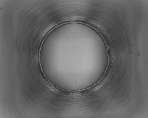 X0000072941073200608181335