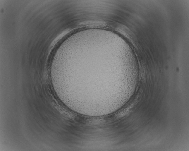 X0000072941074200608181335