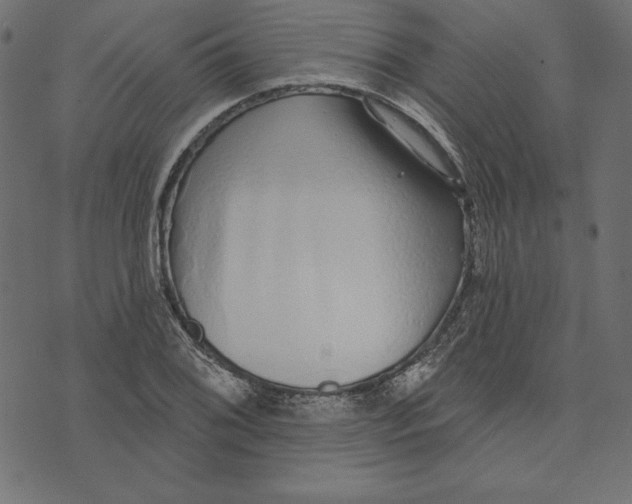 X0000072941076200608181335