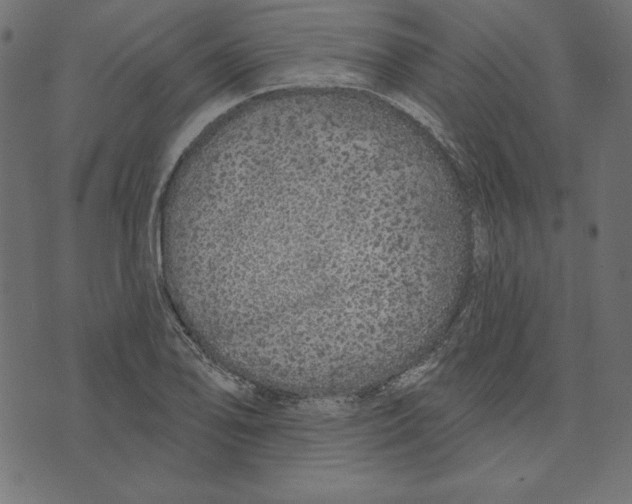 X0000072941078200608181335