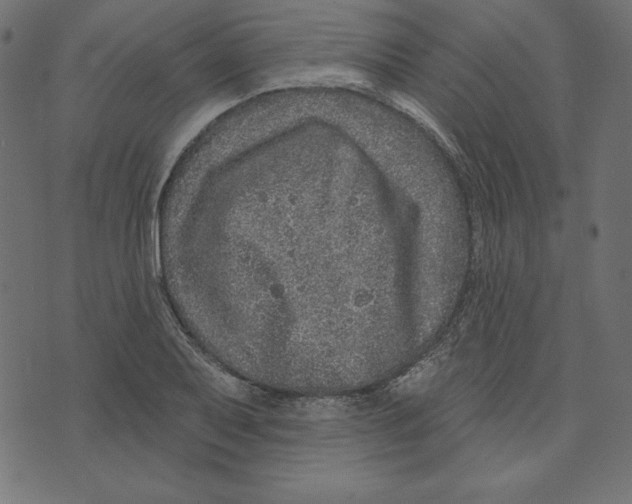 X0000072941079200608181335