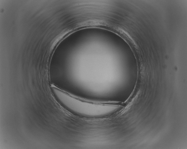 X0000072941081200608181335