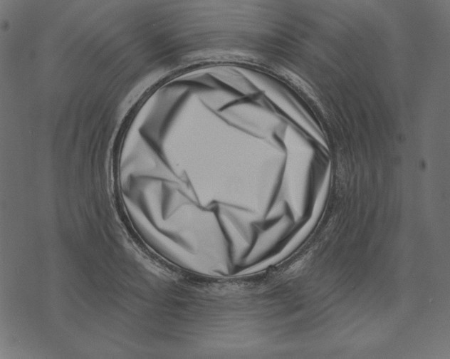 X0000072941082200608181335