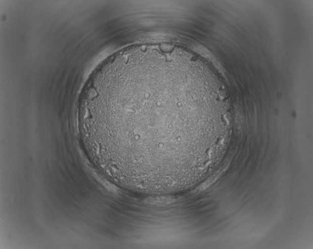 X0000072941083200608181335