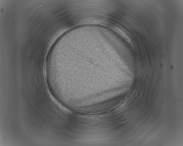 X0000072941084200608181335