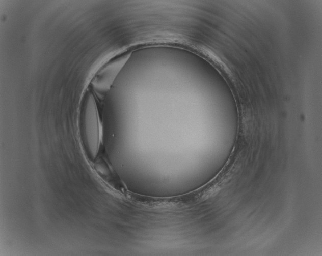 X0000072941085200608181335