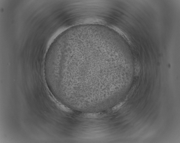 X0000072941086200608181335