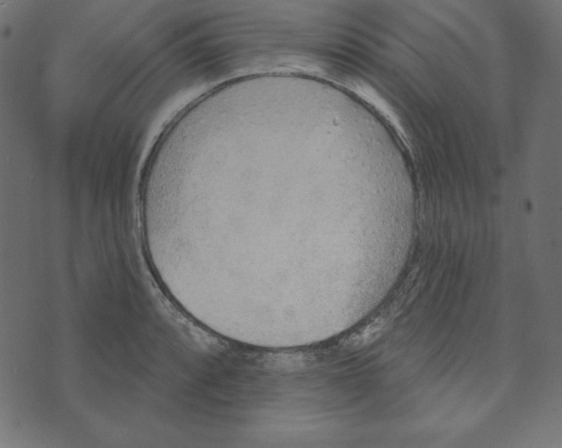 X0000072941088200608181335