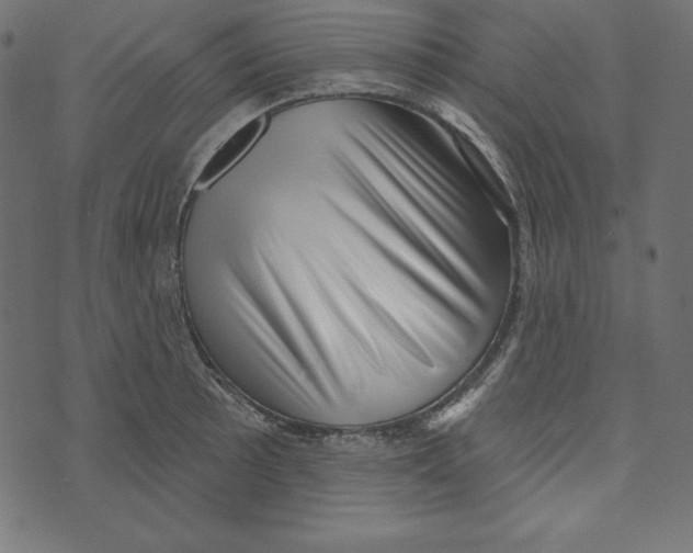 X0000072941089200608181335