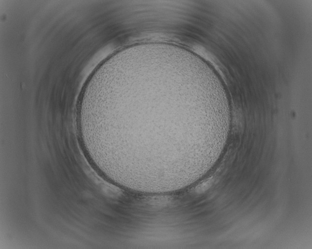 X0000072941090200608181335