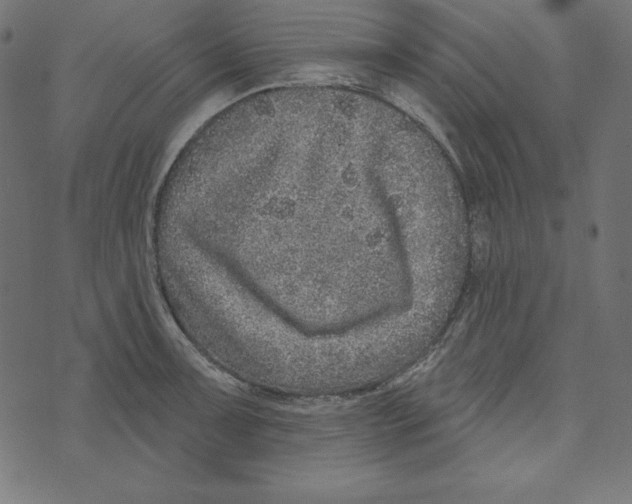 X0000072941091200608181335