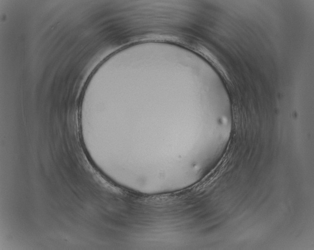 X0000072941092200608181335