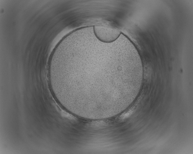 X0000072941094200608181335