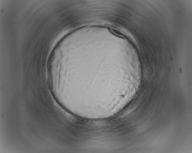 X0000072941095200608181335