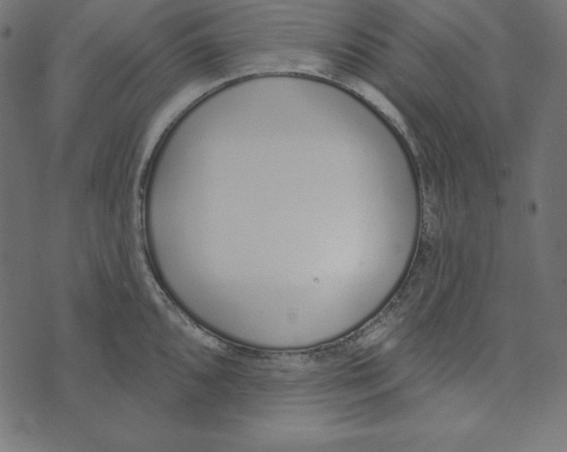 X0000072941096200608181335