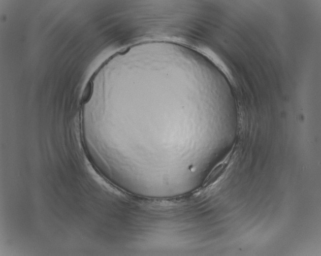 X0000072941100200608181335