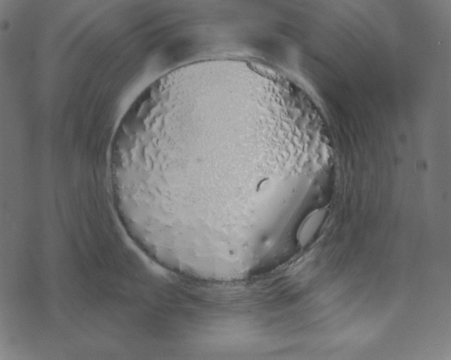 X0000072941103200608181335