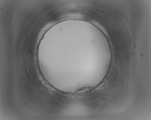 X0000072941104200608181335