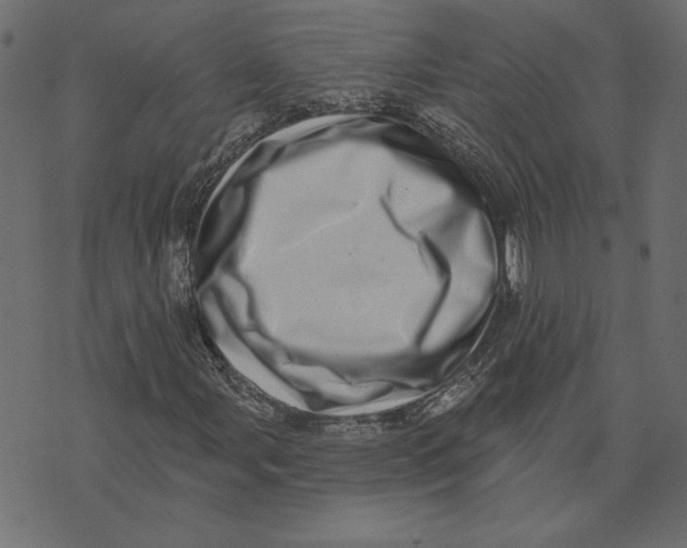 X0000072941107200608181334