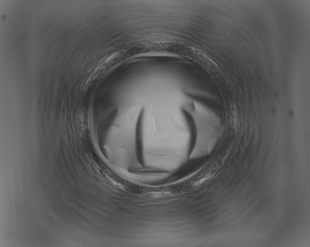 X0000072941108200608181334