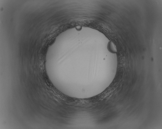 X0000072941109200608181334